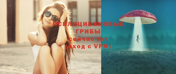 a pvp Арсеньев