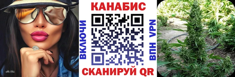 Купить  Судак  Конопля планчик 